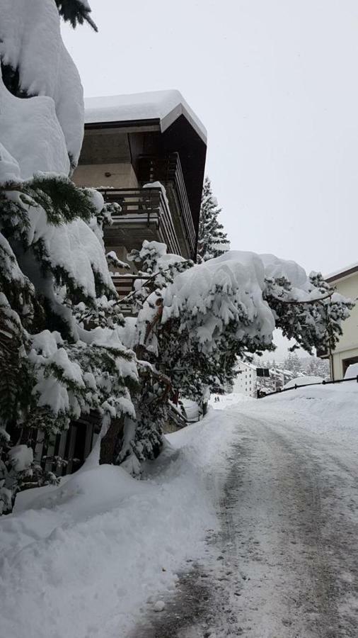 The Closest Location To The City Center And Chairlift Oulx Buitenkant foto